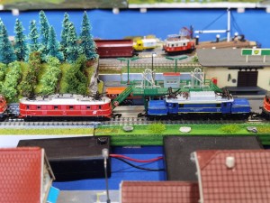 IMG_20260307_110120.jpg