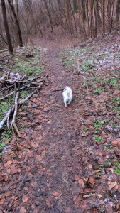 WhatsApp Image 2026-03-14 at 07.36.18.jpeg