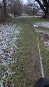 WhatsApp Image 2026-03-14 at 08.06.49.jpeg