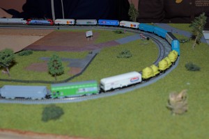 P1000564.JPG