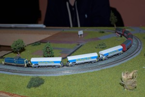P1000581.JPG