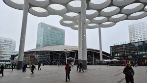 20260321_093131.jpg