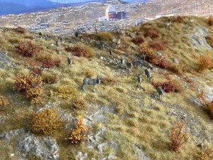 On traXS 2026 - Björndalen_001.jpg