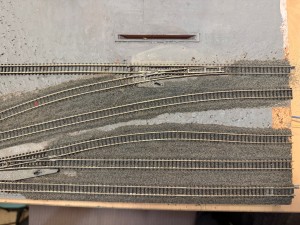IMG_0987.jpeg
