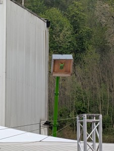PXL_20260425_052636863.MP.jpg