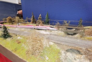 IMG_20260502_135542.jpg