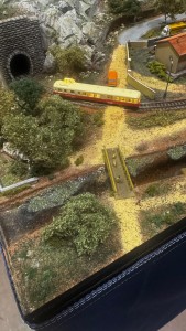 IMG_7717.jpeg