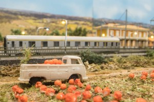 Provence - Finde den Fehler!