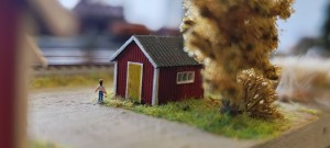 IMG_20260515_124447.jpg