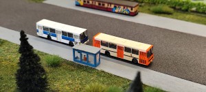 IMG_20260516_094816.jpg