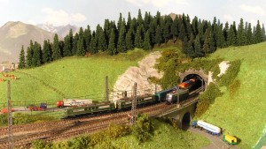 16.4 ein Containerzug fährt aus dem Roßbergtunnel Leerfahrt BR110.jpeg