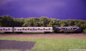 WM_02.jpg