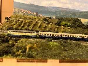 IMG_6511.jpeg