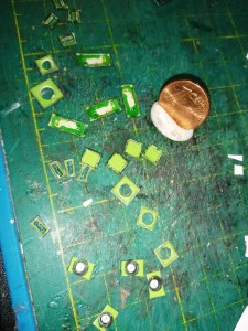 IMG_20210811_092510.jpg