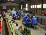 Heiligenberg 2011 013.jpg