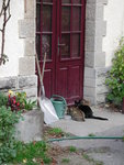 Annot_Bhf_18.jpg