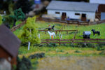 DSC_3315.JPG