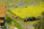 DSC_3362.JPG