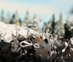 IMG_1810.JPG