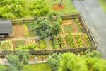DSC_1913.jpg