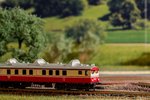 comp_IMG_7502.jpg