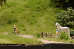 DSC_5587.JPG