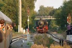 11_09_24_Gronau_umsetzen.JPG