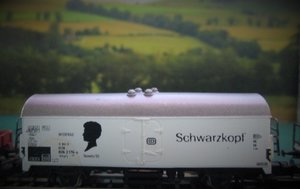 Schwartkopf (2).JPG