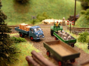 DSCN0510.JPG
