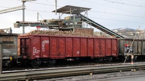 zuckerruebenkampagne-2010-weil-sbb-cargo-466666.jpg