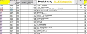 8666 Staubgutwagen.jpg