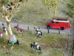 Feuerwehr und Kühe