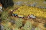 Bilder02.JPG