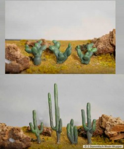 Kaktus_1.jpg