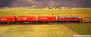 09_BR216_Cargo_1.jpg