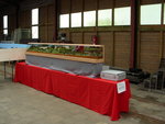 Bruchhausen-Vilsen 2012 001.jpg