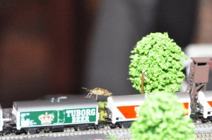 DSC_0552.JPG