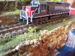 stamm 002.JPG