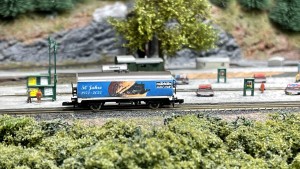 IMG_6703.jpeg