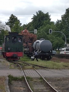 Umsetzen in Asendorf