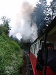 DSC07797a.jpg