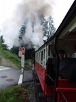 DSC07798a.jpg
