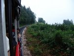 DSC07799a.jpg
