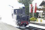 Unsere Liese hieß Hannah und war voller Tatendrang, wie man sieht.